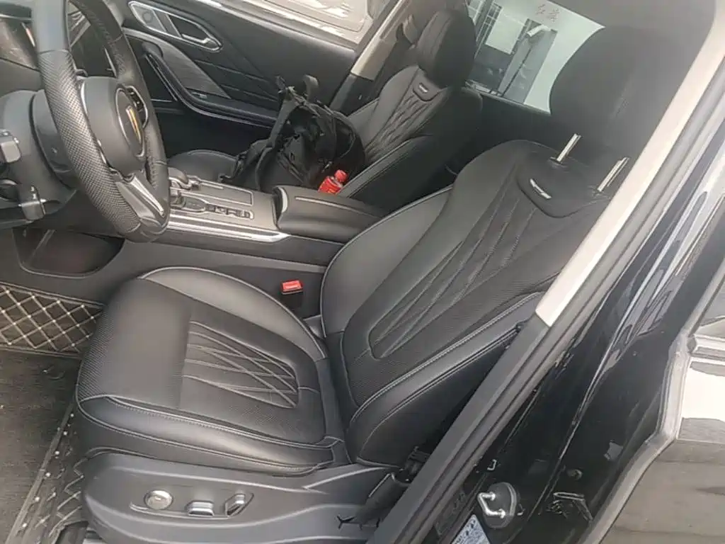 Photo 15 - Hongqi HS7 PHEV