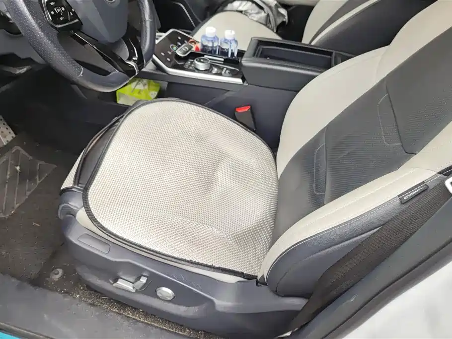WEIMA AUTOMOBILE WEIMA EX5