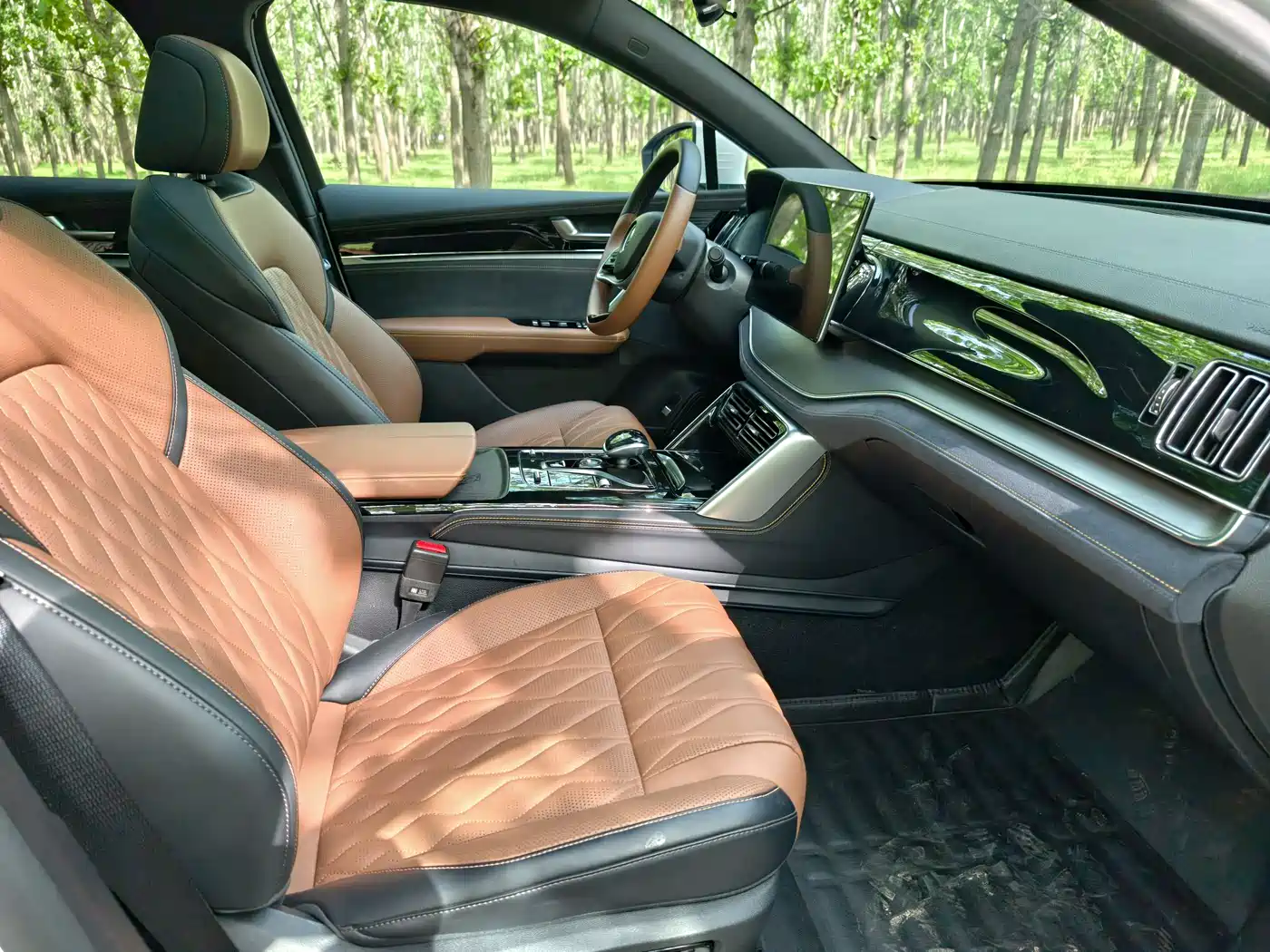 BYD Tang New Energy 2021 DM-i 112KM Premium фото 8