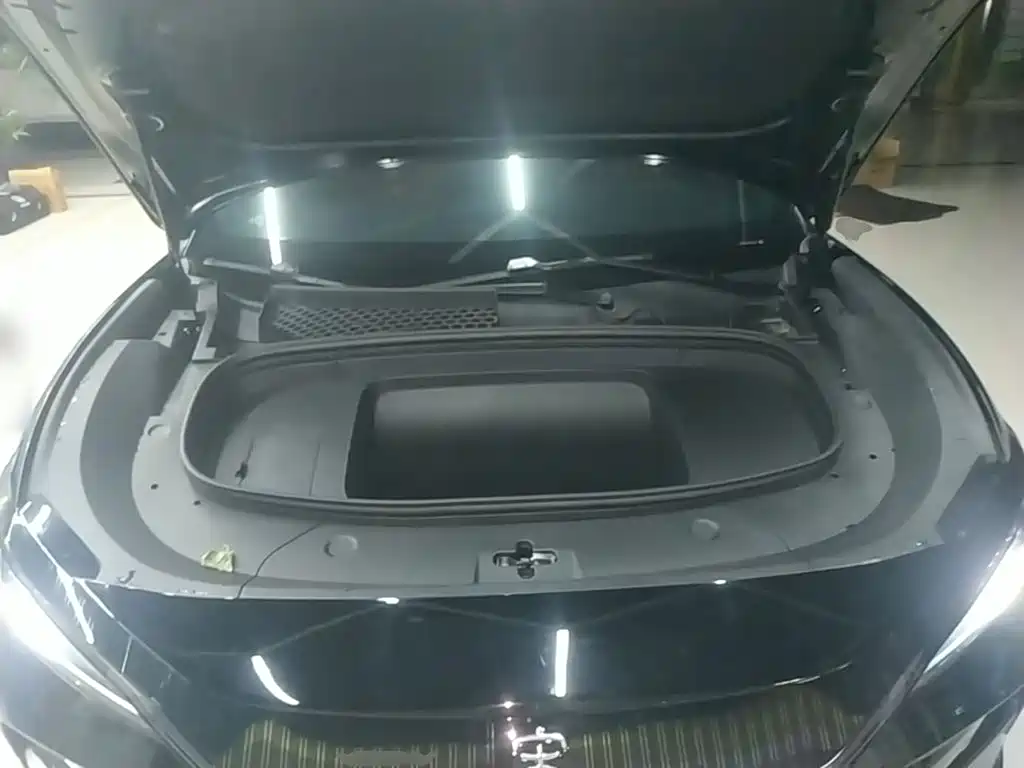 BYD Song L EV 2025 2025 550km Excellence Model