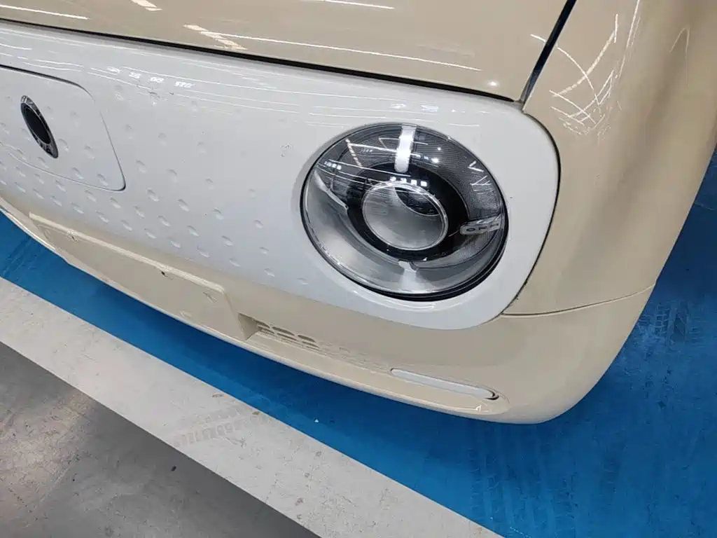 Ora Black Cat 2019 2019 Model 351km Smart Fun Edition