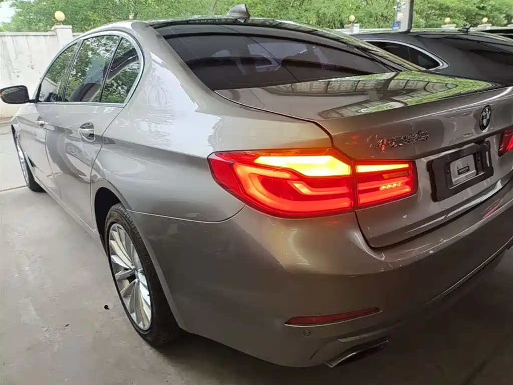 BMW 5 Series 2020 525Li Luxury Package фото 5