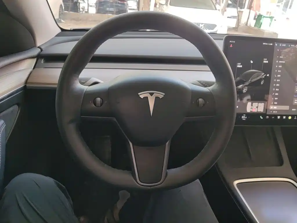 Tesla Model Y 2021 2021 Standard Range Rear-Wheel Drive