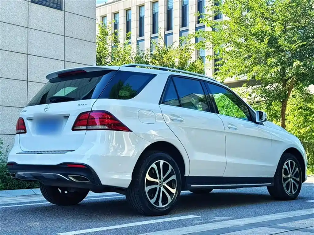 Mercedes-Benz GLE 2016 GLE 320 4MATIC Luxury фото 19