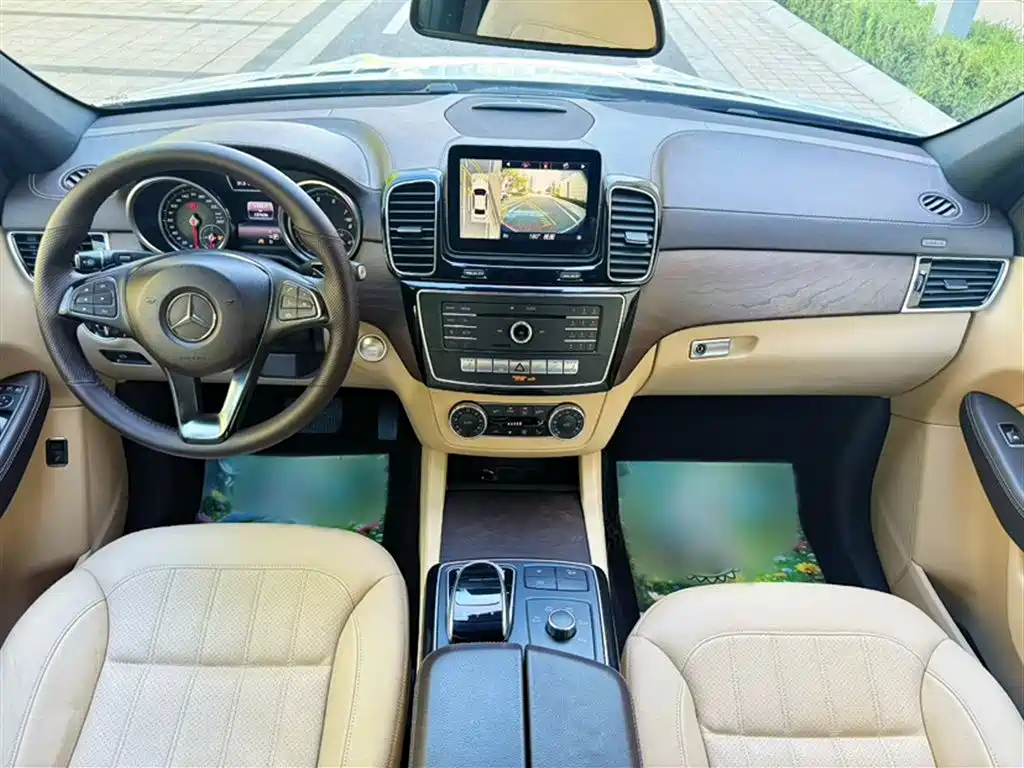 Mercedes-Benz GLE 2016 GLE 320 4MATIC Luxury фото 22