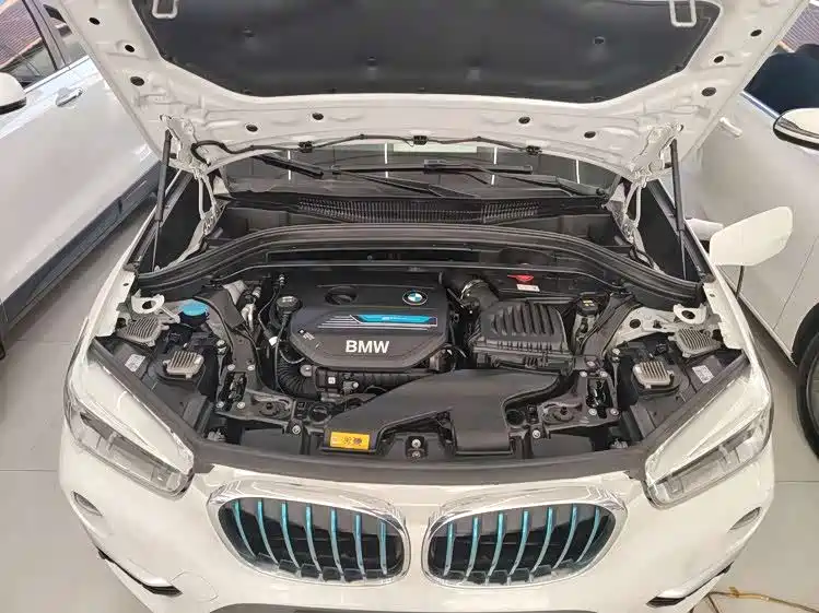 BMW X1 New Energy 2019 xDrive25Le Range Upgrade Edition фото 7