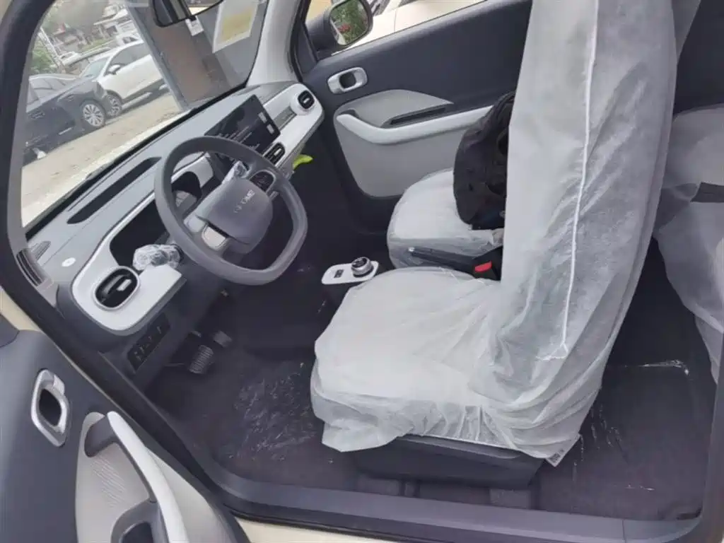 Geely Galaxy Panda 2025 Panda mini 210km Vitality Bear фото 11