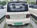Фото 4 - Geely Galaxy Panda