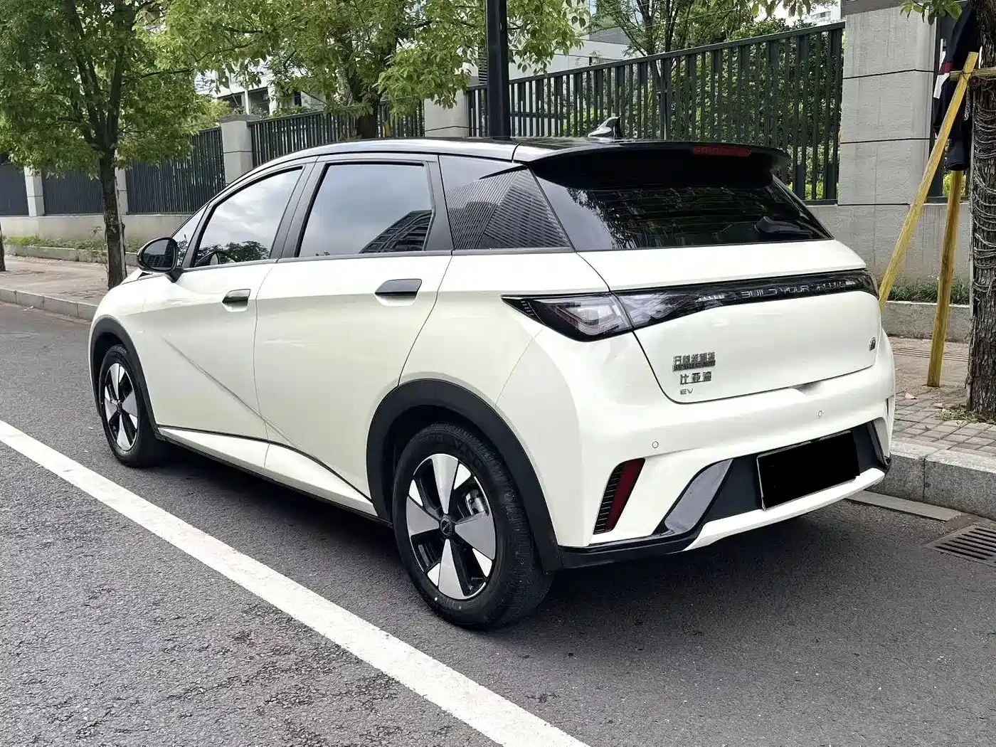 BYD Dolphin 2023 420km Freedom Edition фото 4