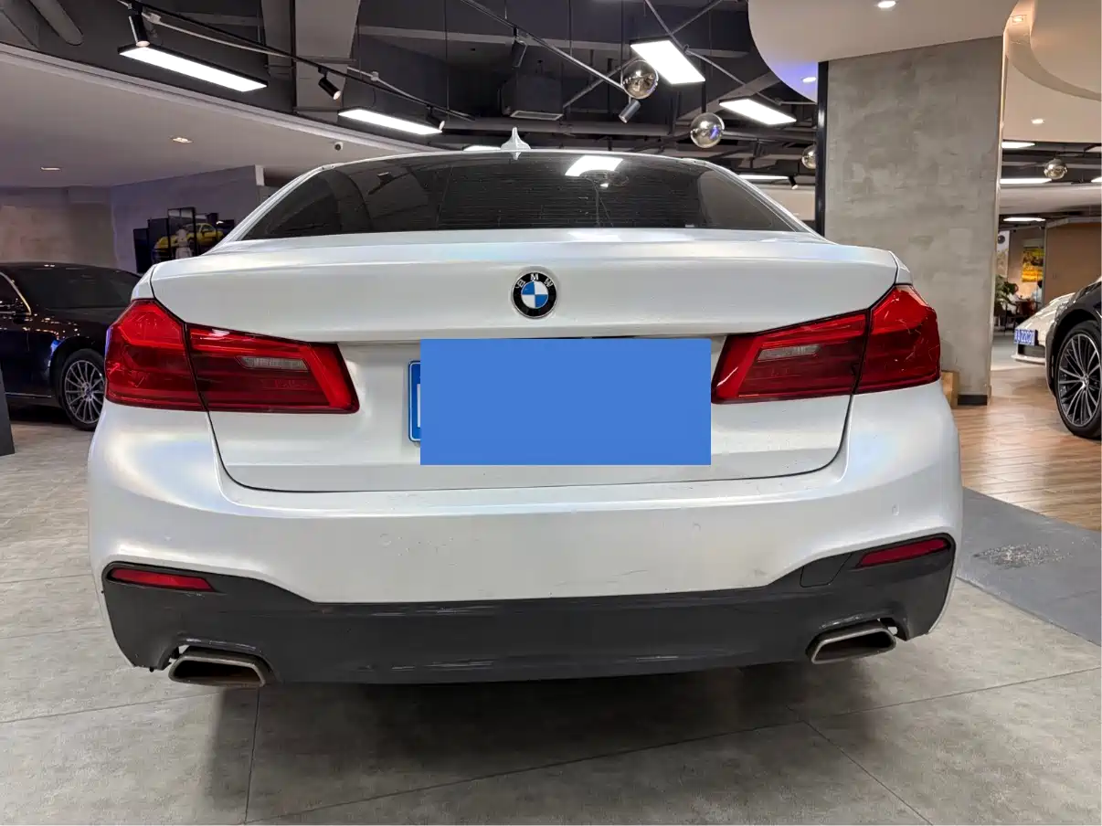 BMW 5 Series 2020 530Li Leading M Sport Package фото 5