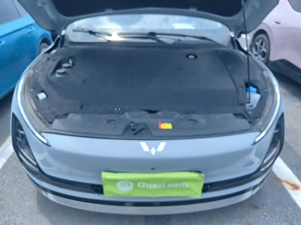 Wuling Motors Wuling Xingguang 2024 2024 Co-creation Edition 510 Advanced