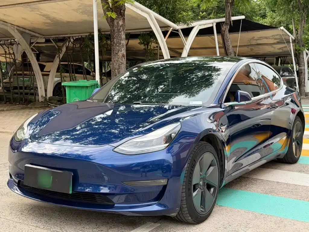 Tesla Model 3 (Import) 2019 2019 Long Range RWD Version
