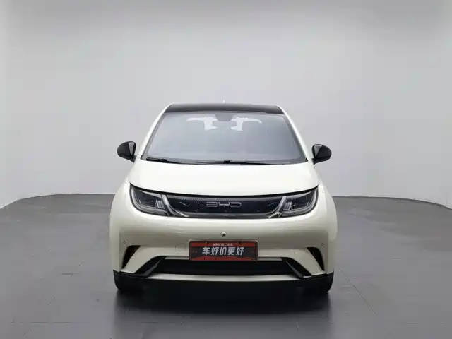 BYD Dolphin 2023 420km Fashion Edition — фото 3