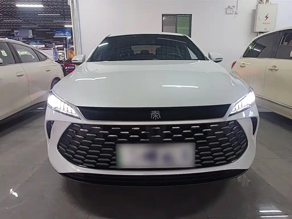 BYD Qin PLUS 2025 DM-i Smart Drive 55KM Leader фото 3