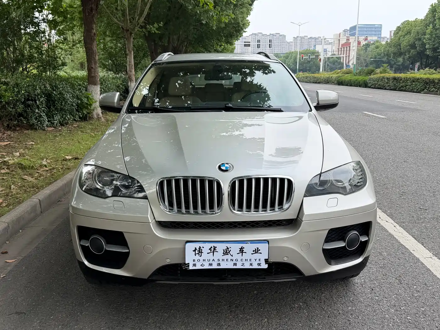 BMW X6 2011 2011 xDrive35i