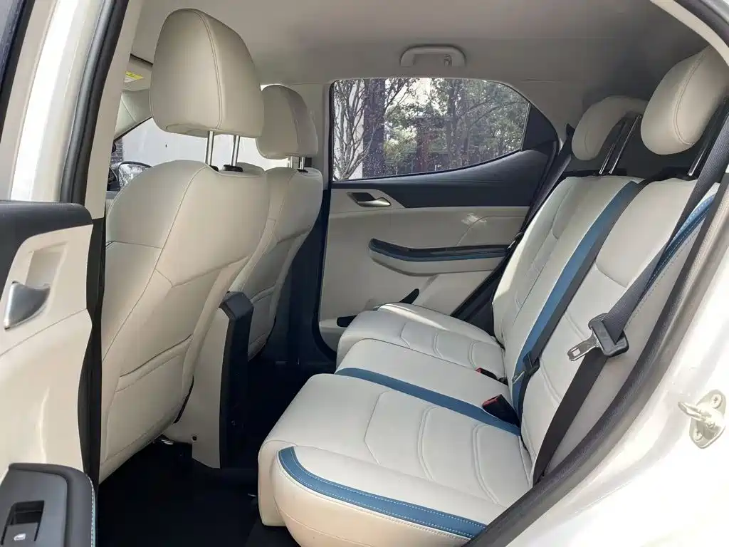 BYD Yuan Pro 2023 2023 401KM Luxury