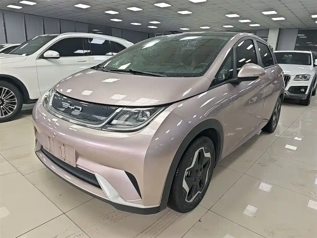 BYD Dolphin 2021 Model 405km Fashion Edition фото 2