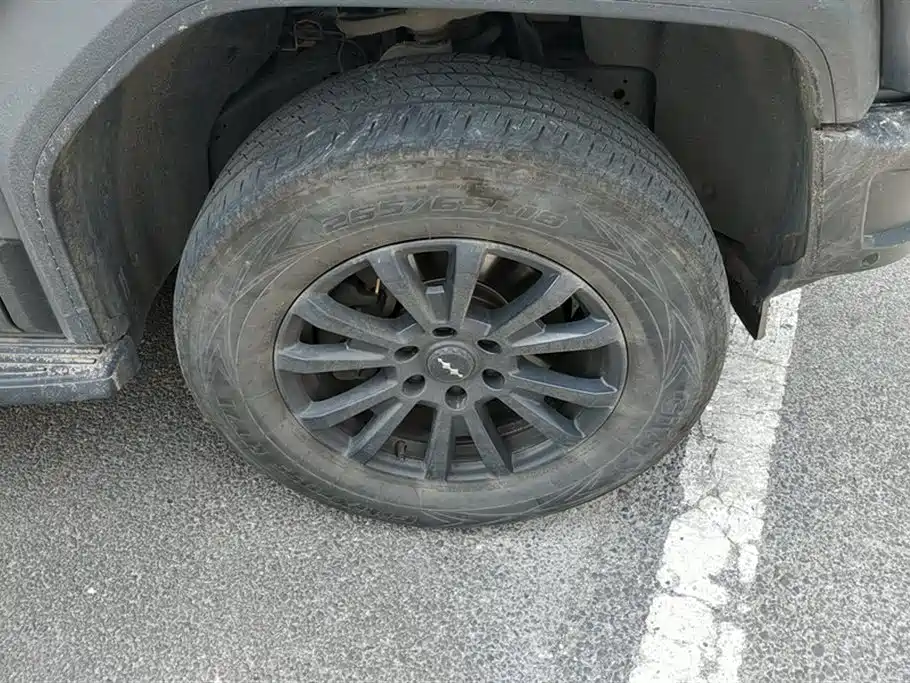 FANG CHENG BAO LEOPARD 5