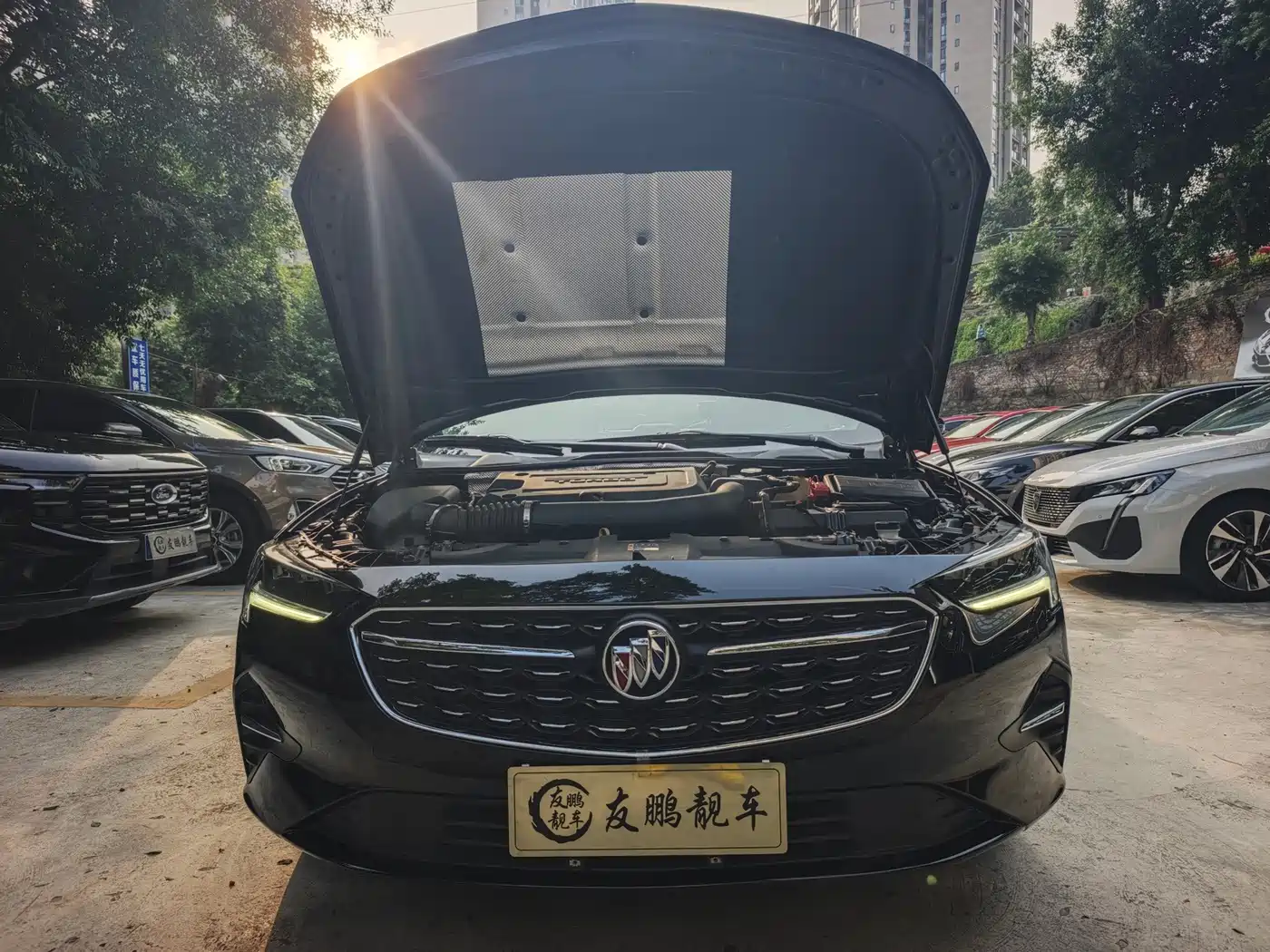 صورة 4 - Buick Regal