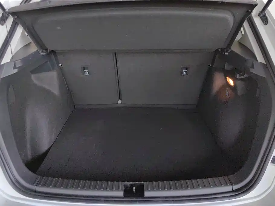 VOLKSWAGEN TUYUE NEW ENERGY