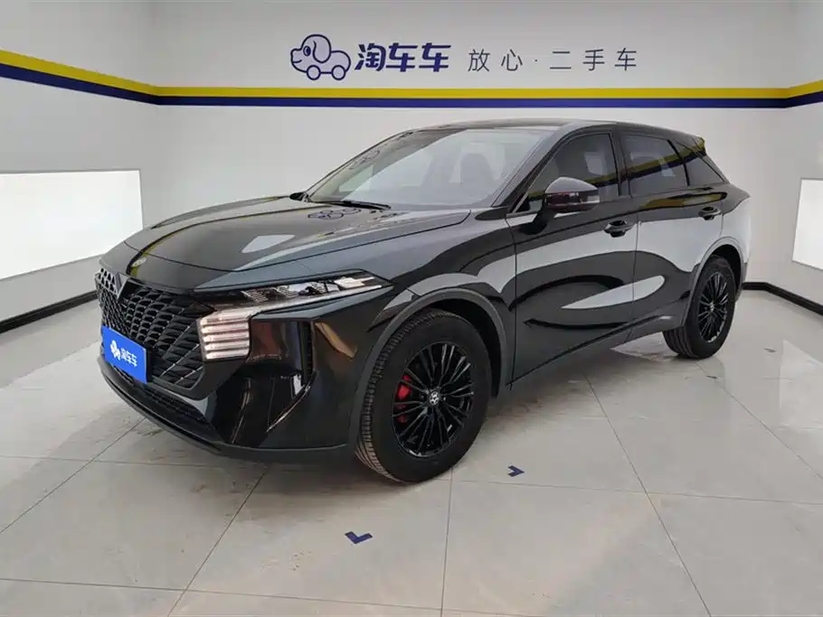 Venucia Big V 2022 260T Dark Horse Edition·Idol