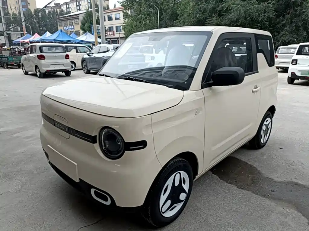 Geely Galaxy Panda 2026 2025 Panda mini 210km Vitality Bear