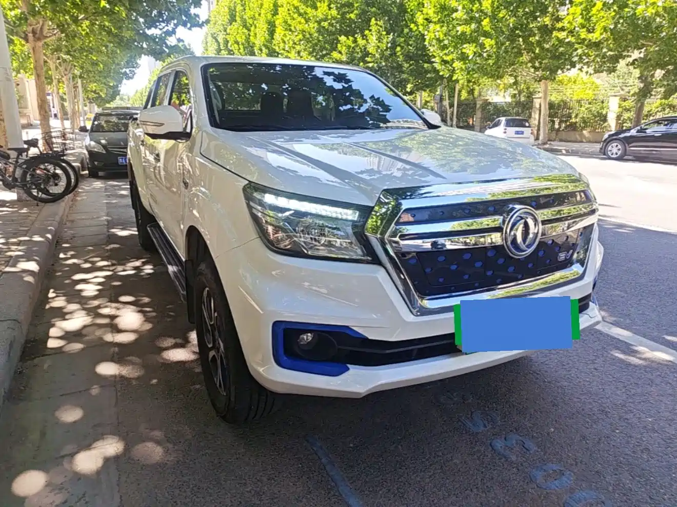 Dongfeng Rich 6 New Energy 2023 2023 Bucket Standard Edition 350km