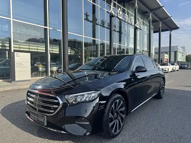 Mercedes-Benz E E 300 L, Люкс