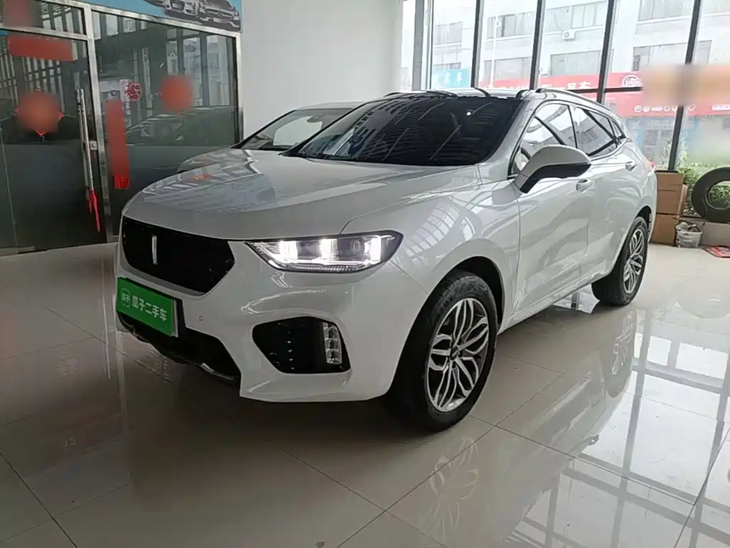 WEY VV5 2017 2017 2.0T Super Luxury Model