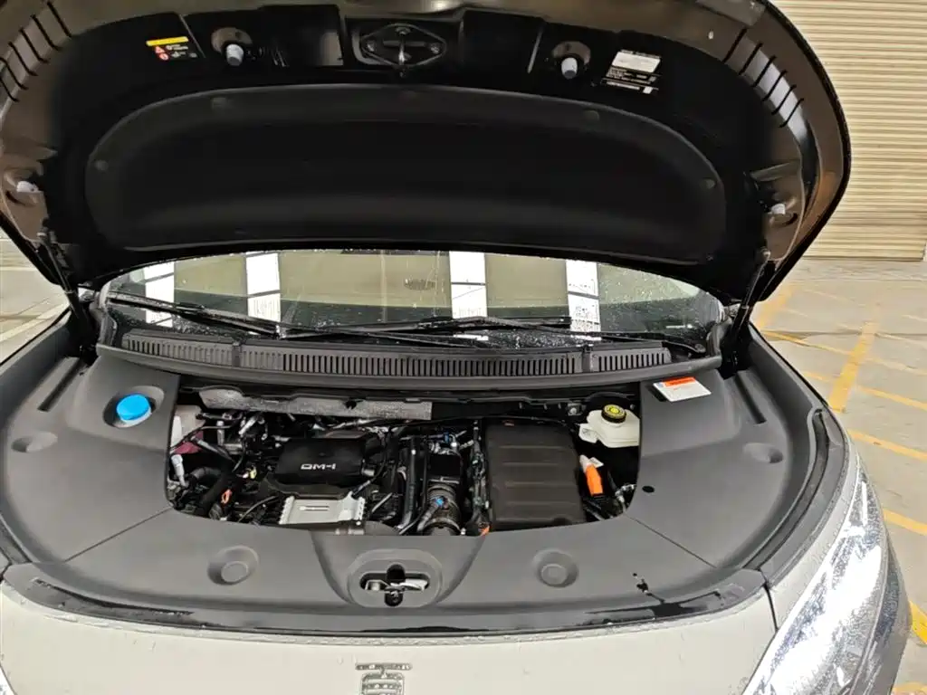 BYD Xia 2025 DM-i 1.5T 180km Surpass Edition фото 20