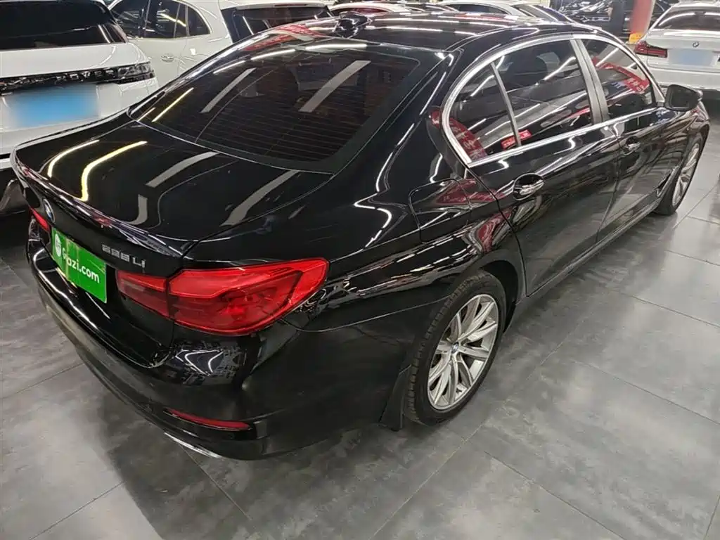 BMW 5 Series 2018 528Li Launch Special Edition фото 7