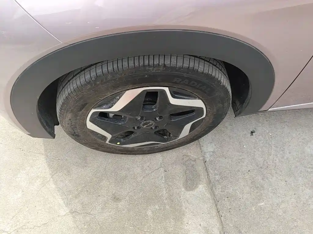BYD Dolphin 2022 2021 Model 405km Fashion Edition