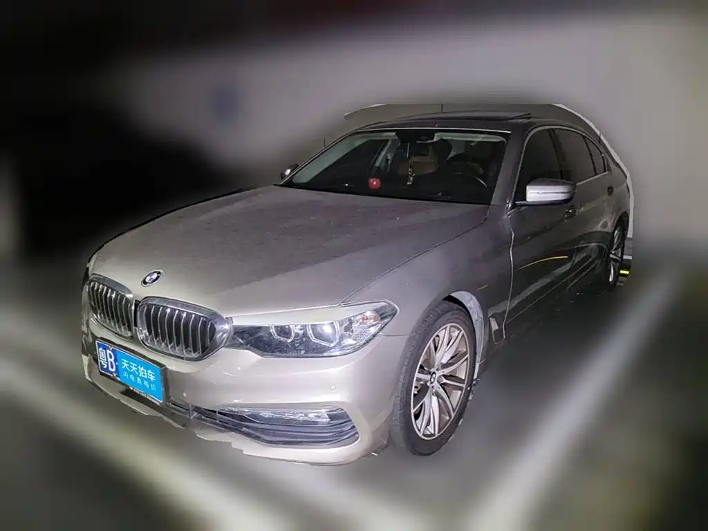 BMW BMW 5 Series 2018 528Li Launch Special Edition