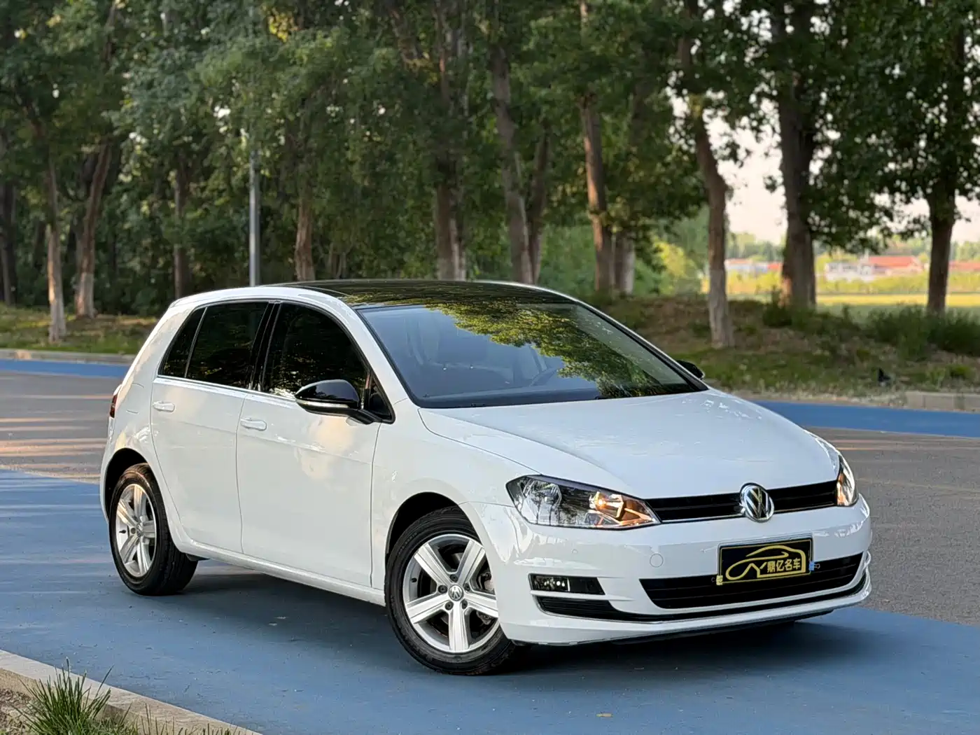 Volkswagen Golf 2016 1.6L Automatic Comfort фото 7