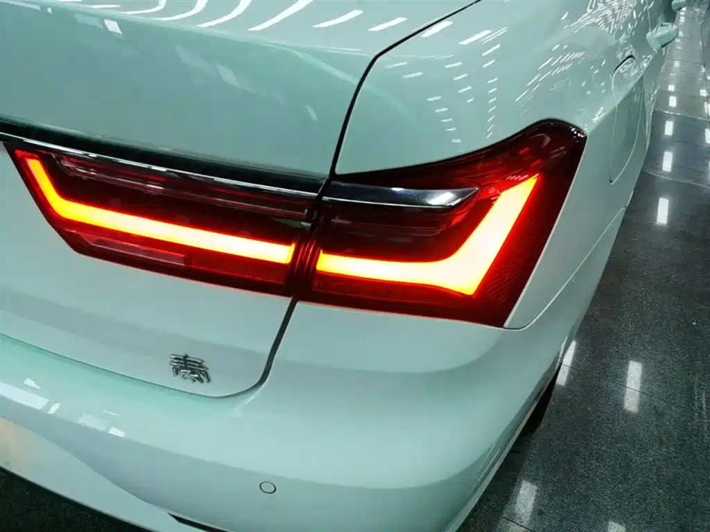 BYD Qin New Energy 2019 Travel Standard Edition фото 8