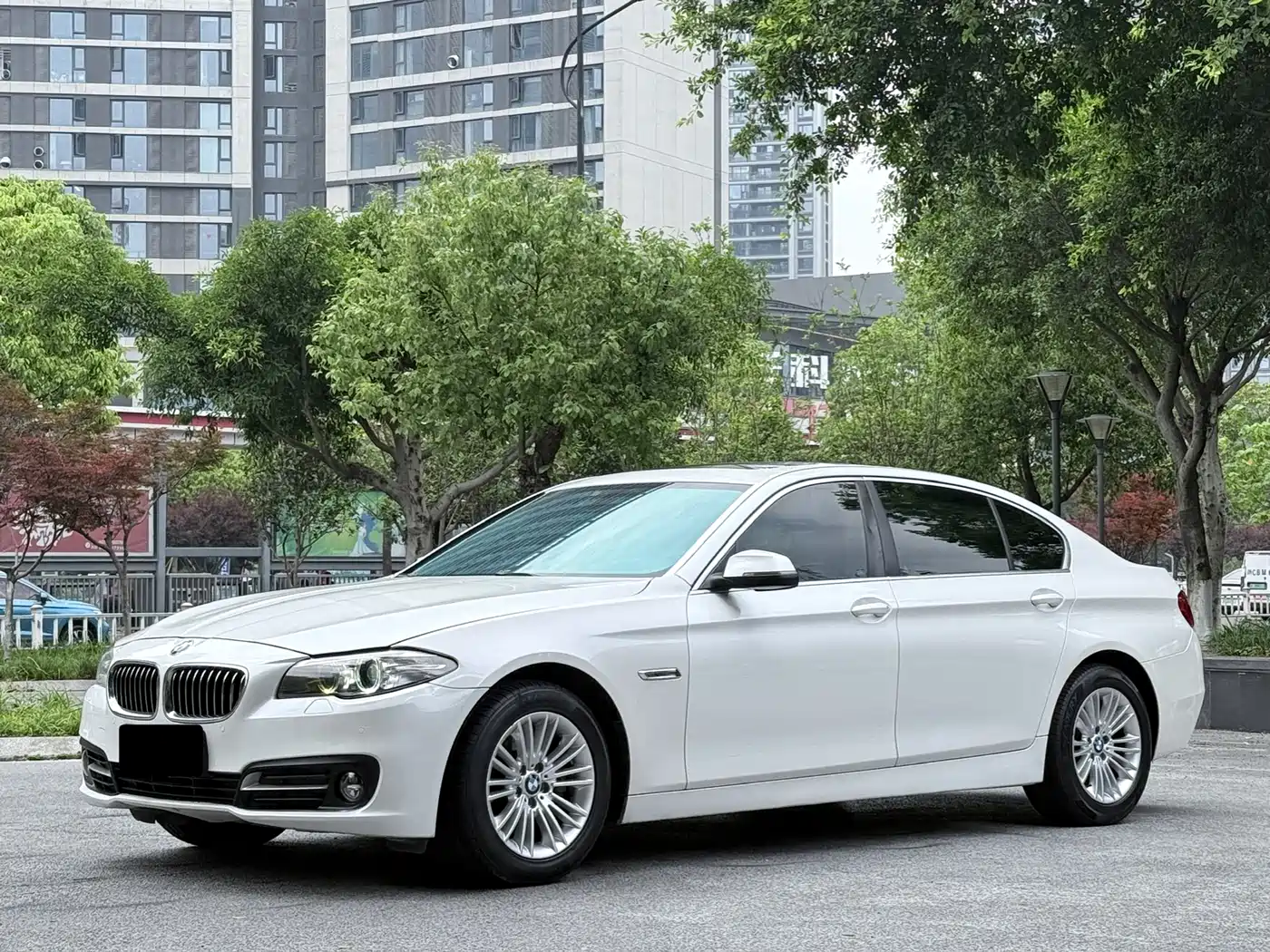 BMW 5 Series 2014 525Li Leading