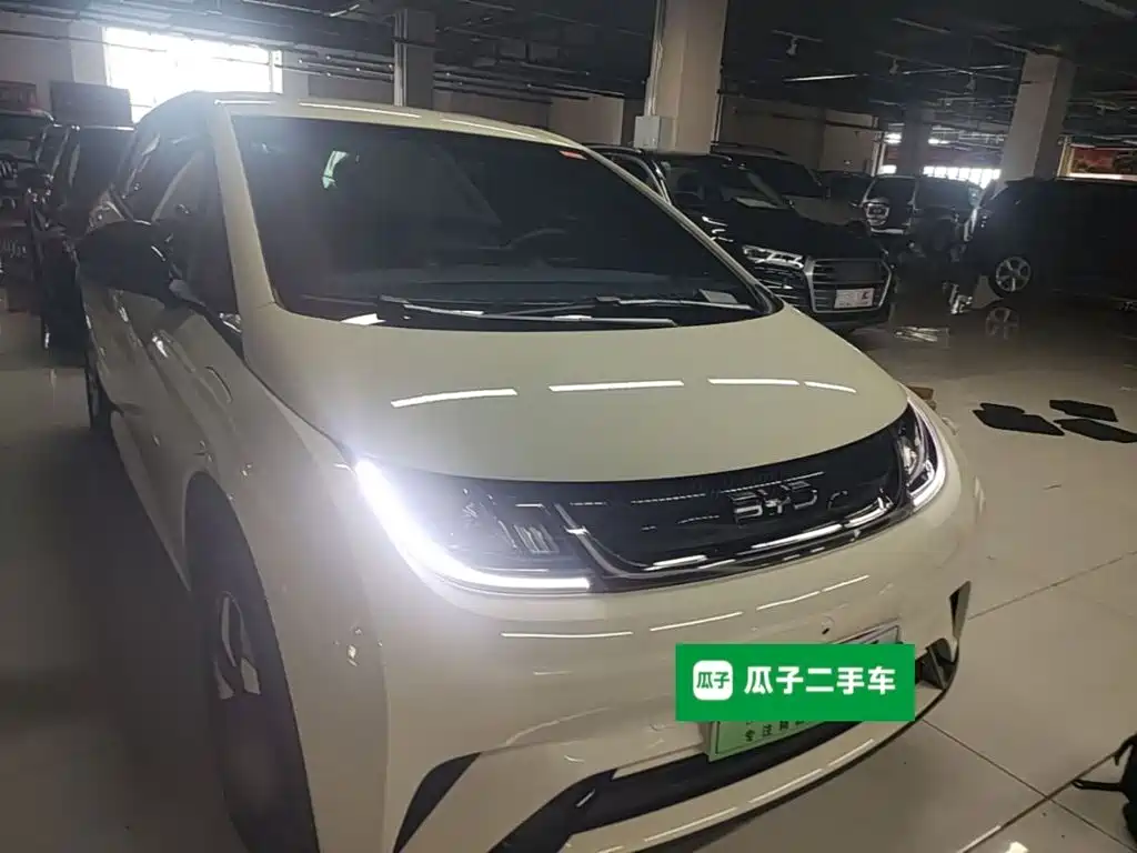 2026 BYD Dolphin