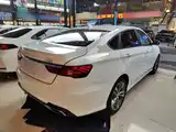 Фото 5 - Geely Binrui