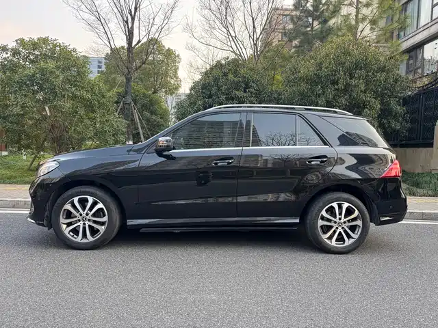Mercedes-Benz GLE 2017 GLE 320 4MATIC Dynamic — фото 3