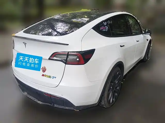 Tesla Model Y 2022 Performance High-Performance All-Wheel Drive Version — фото 2