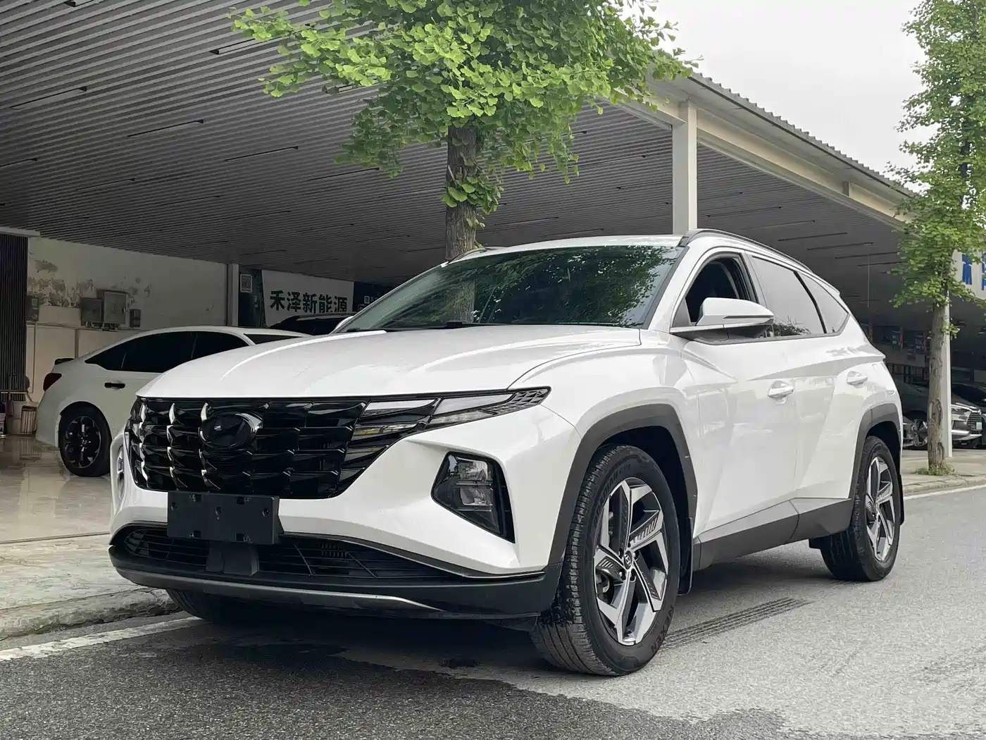 Hyundai Tucson 2023 Tucson L 1.5T Automatic 2WD LUX Premium Edition