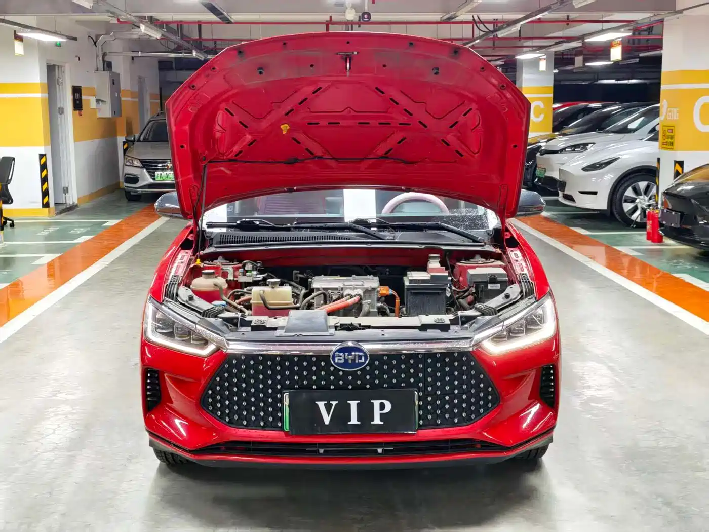 BYD e2 2019 Long Range Edition Create·Premium фото 8