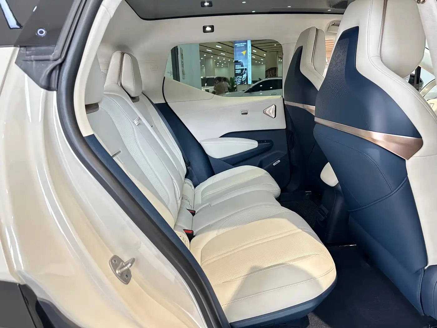 ZEEKR EXTREME KRYPTON X