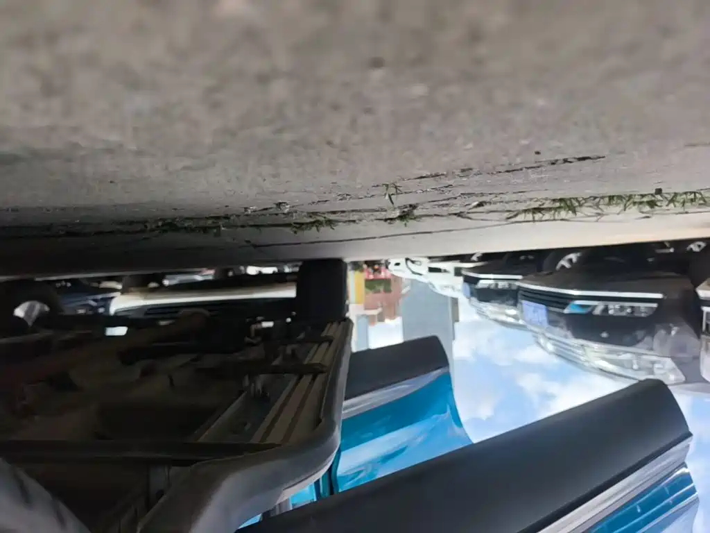 Фото 21 - Roewe RX5 MAX