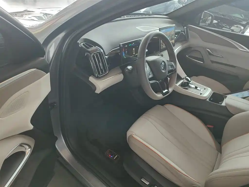 BYD Song Pro New Energy 2024 Glory Edition DM-i 71KM Leading фото 16