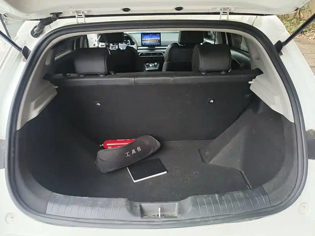 Фото 5 - BYD e2