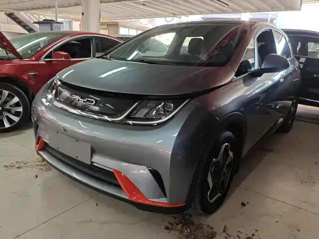 BYD Dolphin 2021 Model 405km Fashion Edition — фото 1