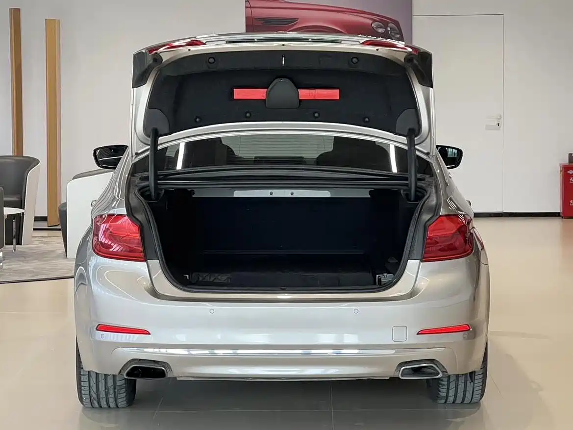 BMW 5 Series New Energy 2018 530Le Luxury Package фото 16