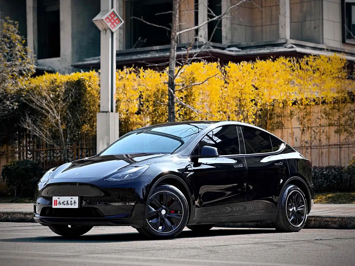 Tesla Model Y 2022 Rear-Wheel Drive Version