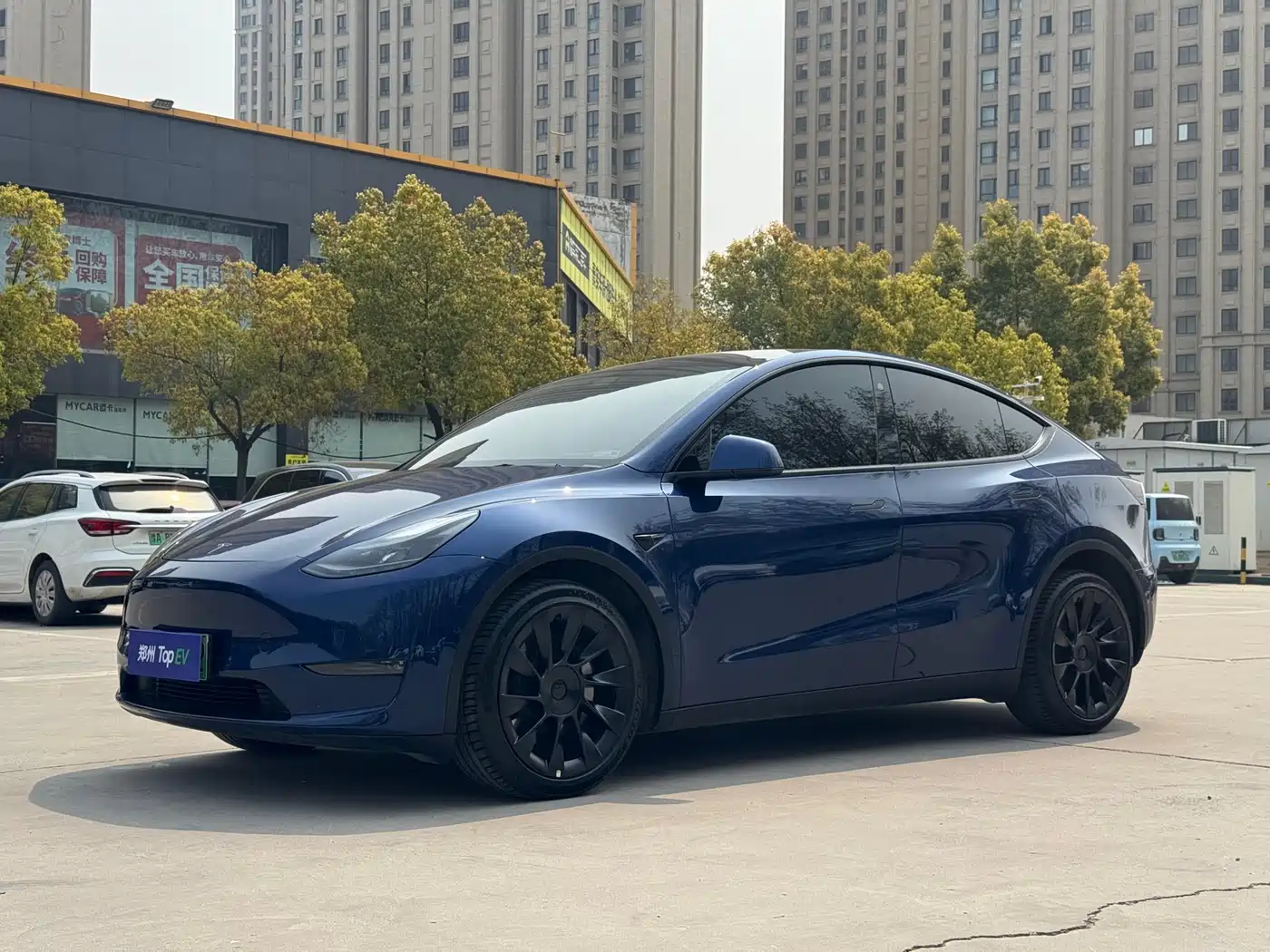 TESLA MODEL Y